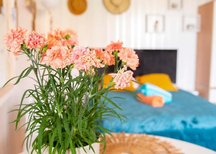 Cala Naprzod Rum i privatbostad *